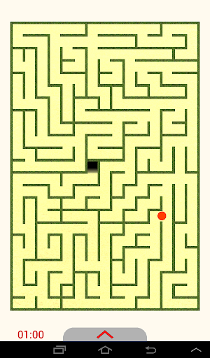 Meet the Maze