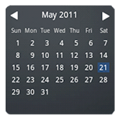 Month Calendar Widget