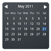 Month Calendar Widget