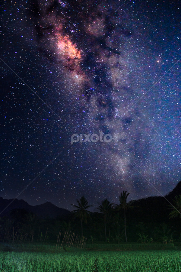 Way from Star by Franciscus Satriya Wicaksana - Landscapes Starscapes