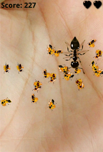 download Ant Smasher free