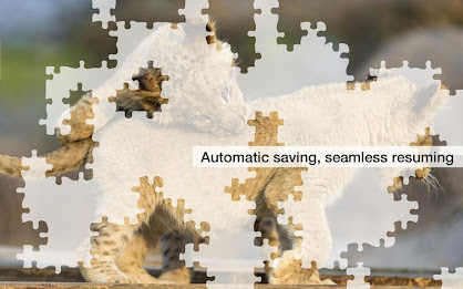 Big Cat Jigsaw Puzzles Demo poster 4