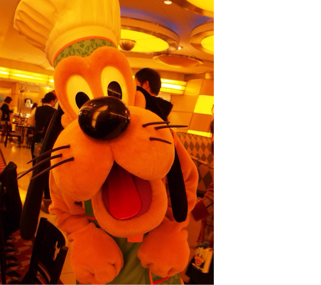 おすすめディナー シェフミッキー つーちゃんおる