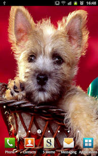 Cute Puppies Wallpapers Screenshots 5