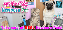 My Real Newborn Pet Vet - Pugs & Kittens FREE APK
