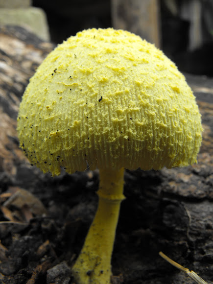 Related image