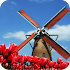Tulip Windmill Live Wallpaper2.24