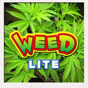 Weed Differences Lite 50 Apk Download Brainsweat