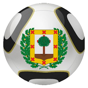 Fútbol Bizkaino 1.1