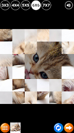 Tile Puzzle: Cute Kittens poster 7