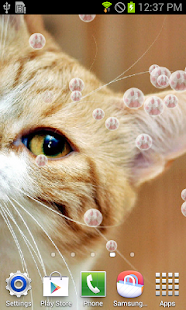 How to install Kitty Cat Live Wallpaper patch 2.2 apk for laptop