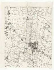 Kaart van Delfland (blad midden)