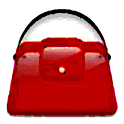 Purse Shopper – Hide My Text logo