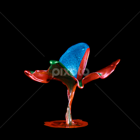 Dancing Colors by Ramakant Sharda - Artistic Objects Still Life