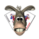 Hold'em Hole Cards Rank n Quiz