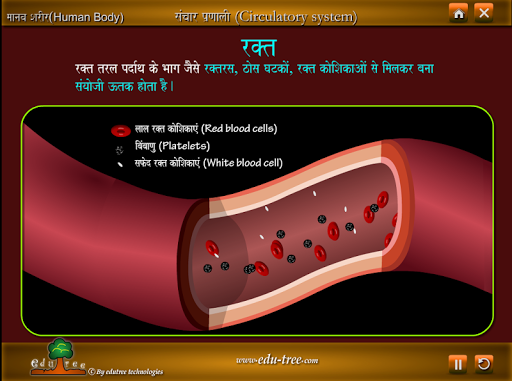 【免費教育App】Human Anatomy in English&Hindi-APP點子