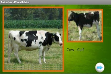 Free Animals and Babies for Kids APK