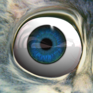 Eye See You.apk 1.0