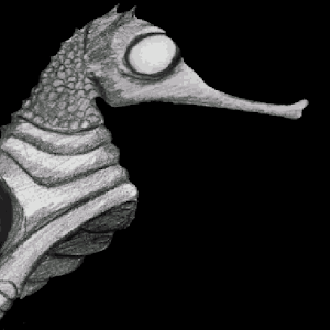 Seahorse Chronicles.apk 1.2