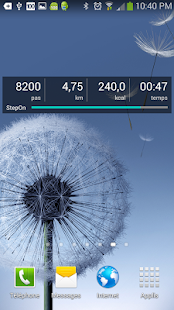 StepOn-Pro Podomètre Screen 2