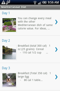 How to install Mediterranean Diet patch 1.0 apk for pc