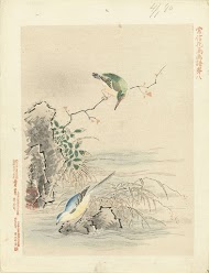 IJsvogel kijkend naar vogel bij water