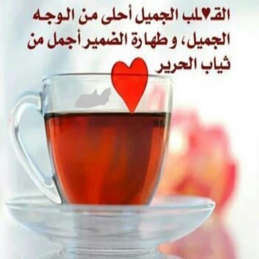 اضغط على الصورة لرؤيتها بالحجم الطبيعي