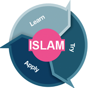 The Islam for Non-Muslims HD.apk 1.0