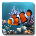 My Reef Buddy logo