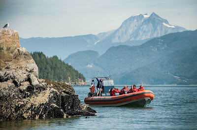On a Sea Safari tour at Christie Island, a bird sanctuary with the peak of Diamond Head in the background.