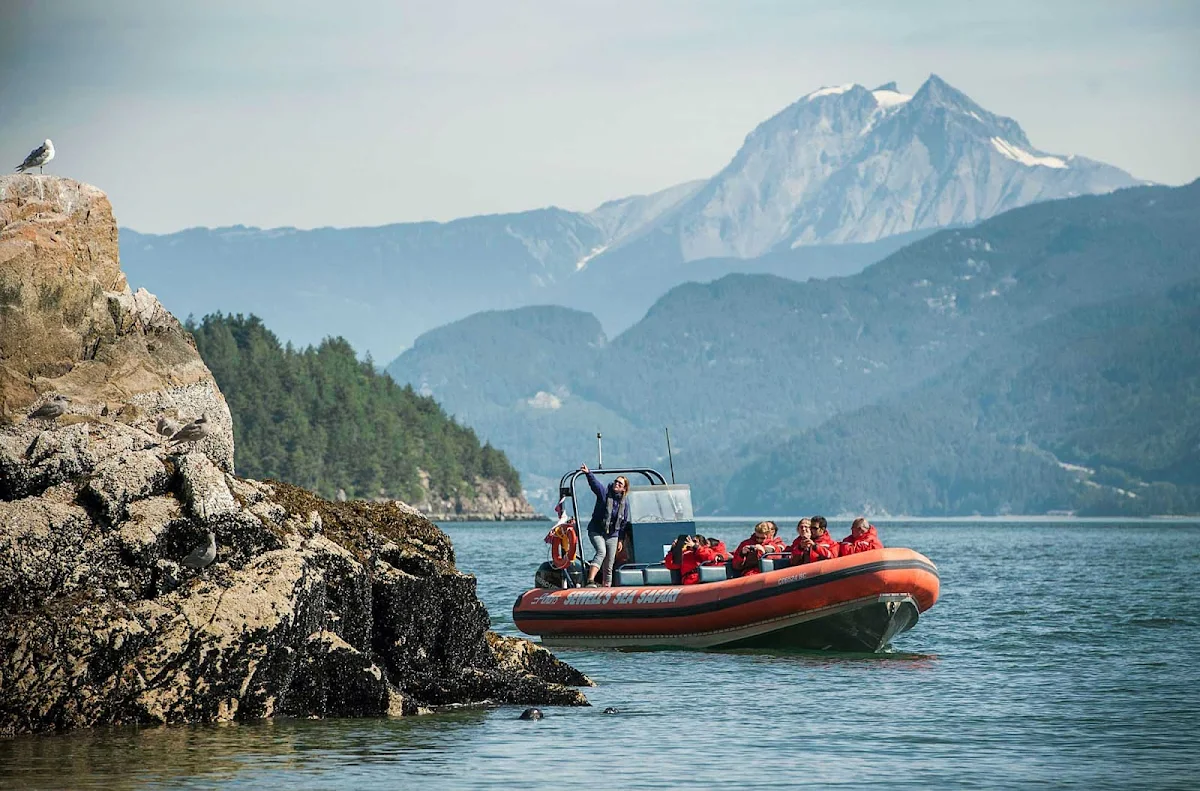 Sea-Safari-Christie-Island-Vancouver-British-Columbia - On a Sea Safari tour at Christie Island, a bird sanctuary with the peak of Diamond Head in the background.