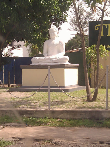Buddha Statue near Vidya Mw