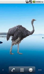 How to mod Ostrich Sticker lastet apk for pc