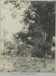 Javanenmarkt op "Ma retraite"