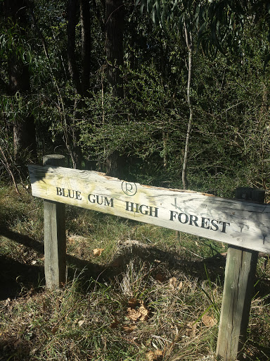 Blue Gum High Forest