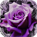 3D Roses mobile app icon
