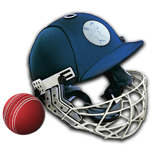 Cricket Captain 2014 logo
