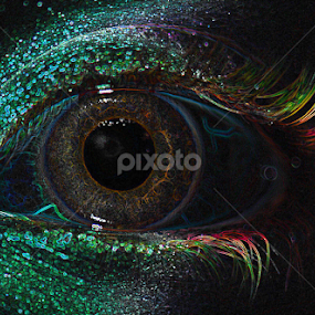 Eyes by Janet Gilmour-Baker - Abstract Macro
