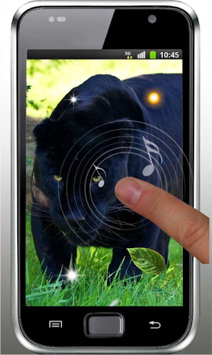 【免費個人化App】Jungle Panthera live wallpaper-APP點子