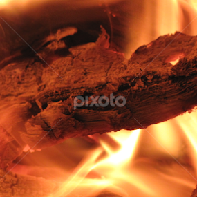 lizard by Darius Morgendorfer - Abstract Fire & Fireworks