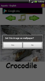 Baby Flash - Aquatic poster 4