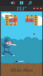 Ninja Bricks poster 4