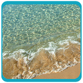 Toscana Riva degli Etruschi