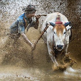 Bite The Tail by Pimpin Nagawan - People Street & Candids