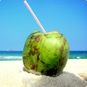 Brazilian Holidays Cal. 2013 logo