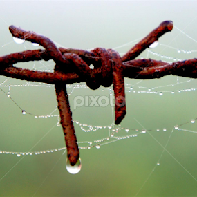 by Shakil Ahmed - Novices Only Abstract