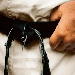 Karate Shotokan Apk