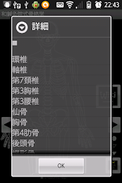 Skeletology (Nagomi) 2D poster 3