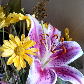 Mom by Lilly Revheim - Flowers Flower Arangements