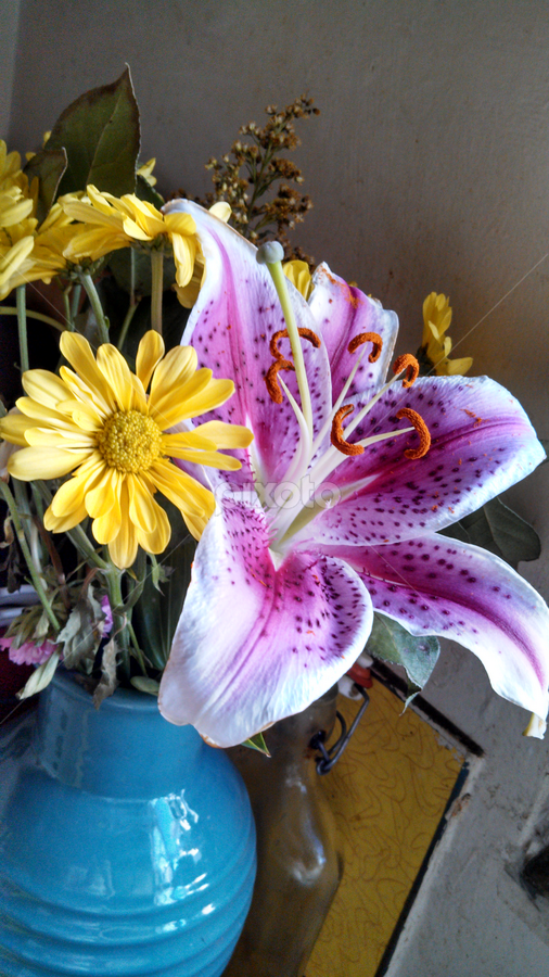 Mom by Lilly Revheim - Flowers Flower Arangements